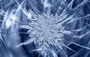 ice crystal, ice, frost-2871068.jpg